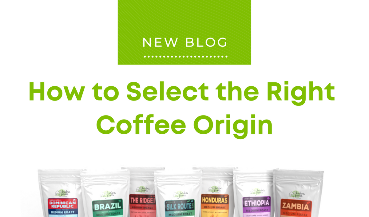 How to Select the Right Coffee Origin As Your New Favorite