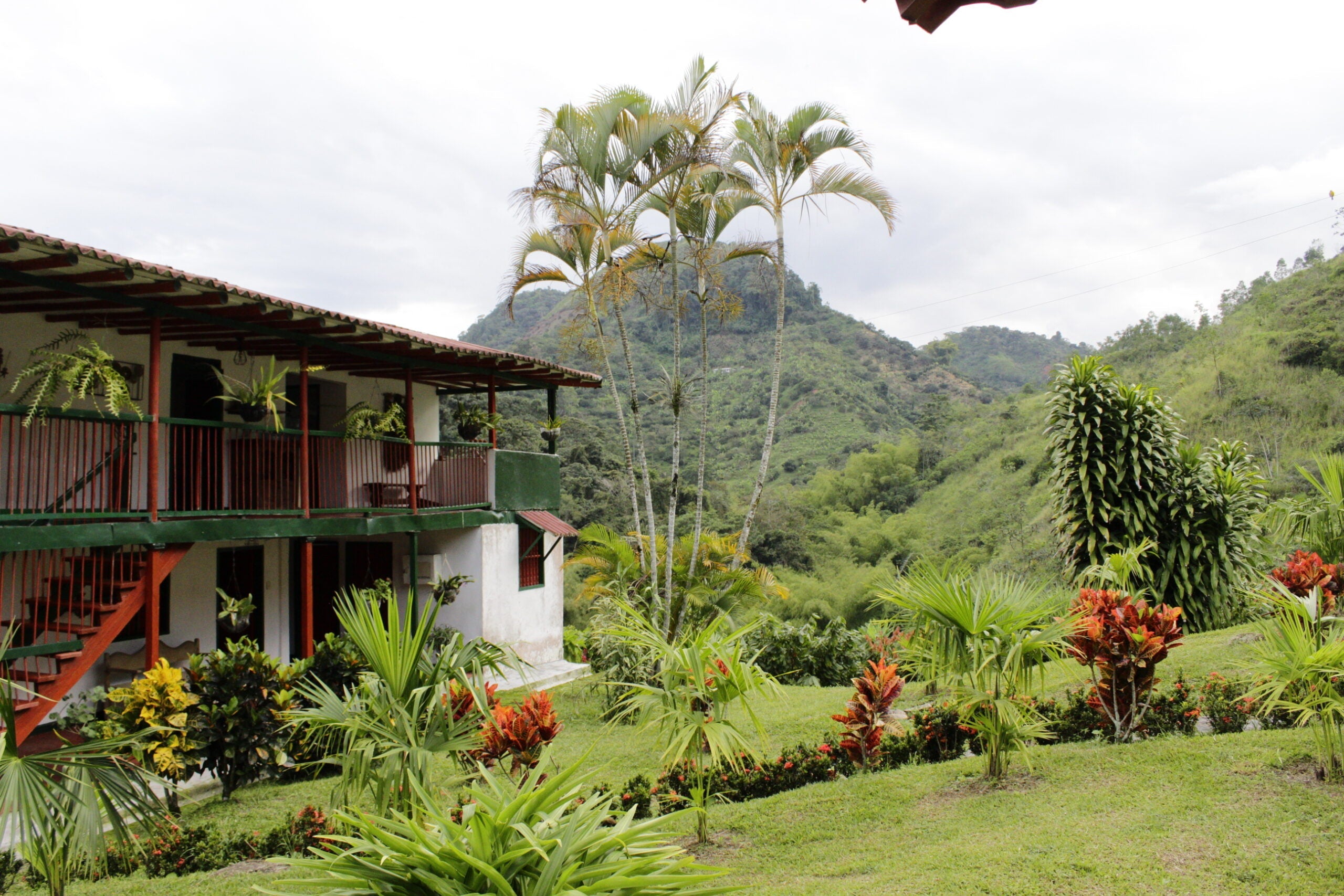How One Farmer is Making a Difference in Their Community: Meet Forest Coffee
