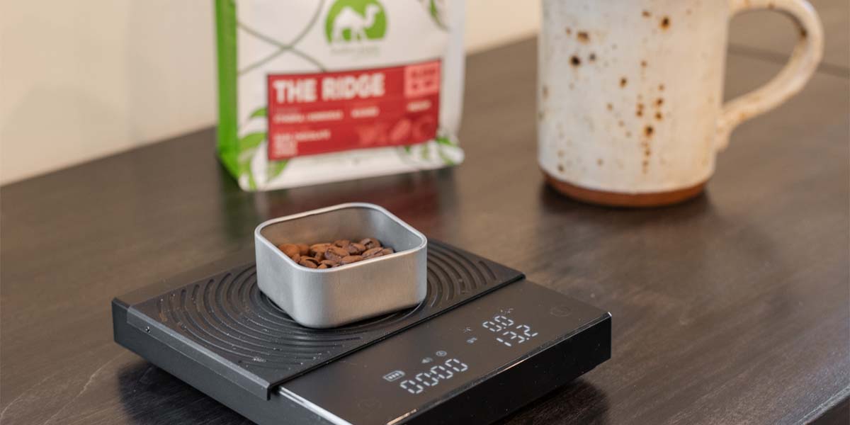 Weighing vs. Scooping Coffee – What’s the no. 1 way to measure coffee at home? 