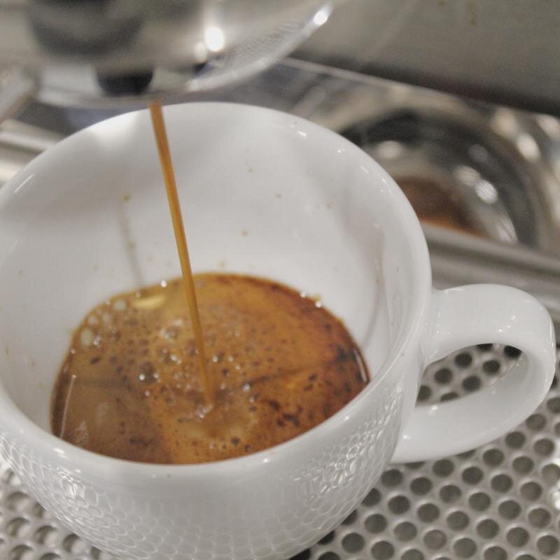 Where Does Coffee Come From? Part 4- Extraction
