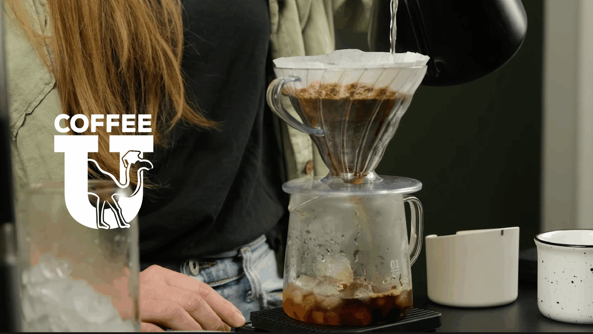 CoffeeU S3 E9: Abby’s Home Barista Hacks – Drip, Pour Over, and French Press