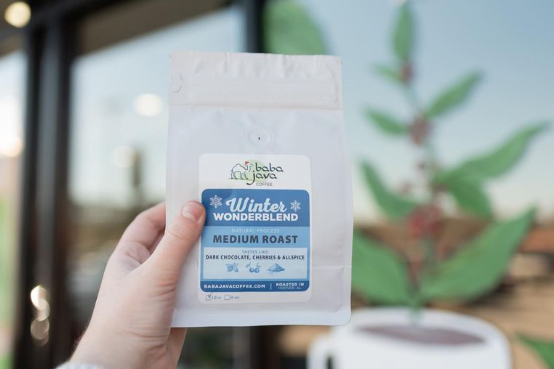 The Ultimate Holiday Gift Guide for Your Favorite Coffee Lovers – Baba ...