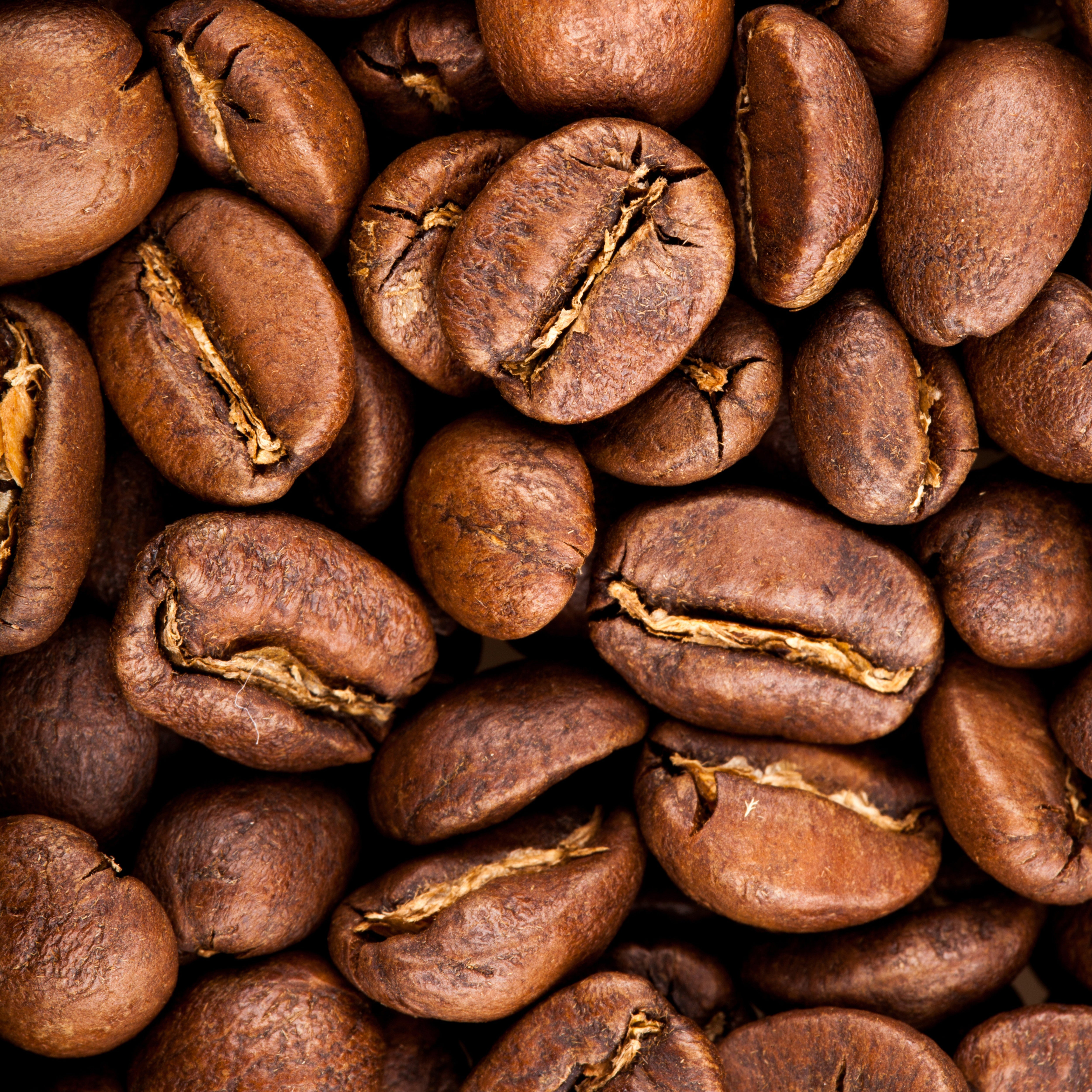 Coffee – Baba Java Coffee