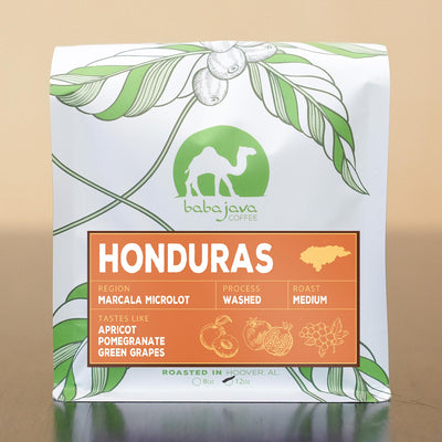 Honduras | 18 Rabbit